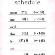 ヒメ日記 2026/04/23 11:30 投稿 つばき 激安ドットコム
