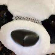 ヒメ日記 2024/12/15 11:16 投稿 マイ ラブコレクション