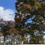 ヒメ日記 2024/12/20 05:30 投稿 アン 梅田人妻秘密倶楽部