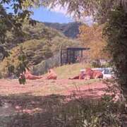 ヒメ日記 2025/04/30 21:15 投稿 アン 梅田人妻秘密倶楽部