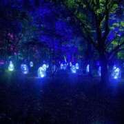 ヒメ日記 2025/05/05 23:00 投稿 アン 梅田人妻秘密倶楽部