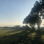 ヒメ日記 2025/07/28 17:55 投稿 アン 梅田人妻秘密倶楽部