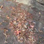 ヒメ日記 2025/11/03 07:40 投稿 アン 梅田人妻秘密倶楽部