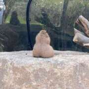 ヒメ日記 2026/04/12 10:50 投稿 アン 梅田人妻秘密倶楽部