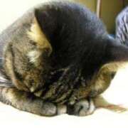 ヒメ日記 2024/12/27 18:49 投稿 しの 完熟ばなな 谷九店