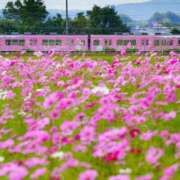 ヒメ日記 2024/10/02 07:33 投稿 かれん アドミsince2002立川デリヘル&Go To FANTASY東京本店