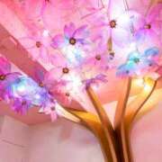 ヒメ日記 2024/12/12 12:21 投稿 かれん アドミsince2002立川デリヘル&Go To FANTASY東京本店