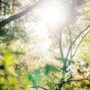 ヒメ日記 2025/01/09 12:15 投稿 かれん アドミsince2002立川デリヘル&Go To FANTASY東京本店