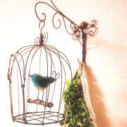 ヒメ日記 2025/03/12 12:17 投稿 かれん アドミsince2002立川デリヘル&Go To FANTASY東京本店