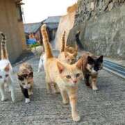 ヒメ日記 2025/03/21 07:07 投稿 かれん アドミsince2002立川デリヘル&Go To FANTASY東京本店