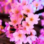 ヒメ日記 2025/03/25 05:01 投稿 かれん アドミsince2002立川デリヘル&Go To FANTASY東京本店