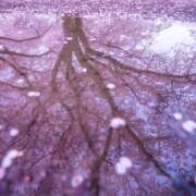 ヒメ日記 2025/03/30 05:15 投稿 かれん アドミsince2002立川デリヘル&Go To FANTASY東京本店