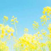 ヒメ日記 2025/04/01 05:03 投稿 かれん アドミsince2002立川デリヘル&Go To FANTASY東京本店