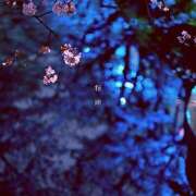 ヒメ日記 2025/04/02 05:31 投稿 かれん アドミsince2002立川デリヘル&Go To FANTASY東京本店