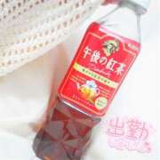 ヒメ日記 2025/04/02 18:42 投稿 かれん アドミsince2002立川デリヘル&Go To FANTASY東京本店