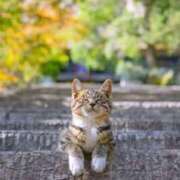 ヒメ日記 2025/04/09 12:01 投稿 かれん アドミsince2002立川デリヘル&Go To FANTASY東京本店