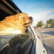 ヒメ日記 2025/04/09 12:15 投稿 かれん アドミsince2002立川デリヘル&Go To FANTASY東京本店