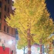 ヒメ日記 2025/04/11 12:01 投稿 かれん アドミsince2002立川デリヘル&Go To FANTASY東京本店