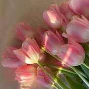 ヒメ日記 2025/04/11 12:31 投稿 かれん アドミsince2002立川デリヘル&Go To FANTASY東京本店