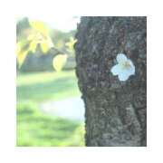 ヒメ日記 2025/04/12 05:45 投稿 かれん アドミsince2002立川デリヘル&Go To FANTASY東京本店