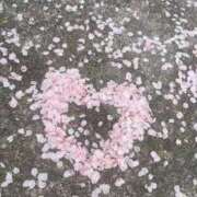 ヒメ日記 2025/04/13 18:40 投稿 かれん アドミsince2002立川デリヘル&Go To FANTASY東京本店