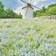 ヒメ日記 2025/04/14 12:31 投稿 かれん アドミsince2002立川デリヘル&Go To FANTASY東京本店