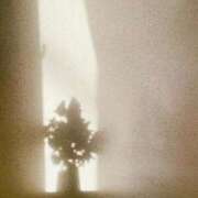 ヒメ日記 2025/04/18 05:17 投稿 かれん アドミsince2002立川デリヘル&Go To FANTASY東京本店