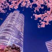 ヒメ日記 2025/05/01 13:05 投稿 かれん アドミsince2002立川デリヘル&Go To FANTASY東京本店