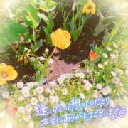 ヒメ日記 2025/05/01 07:11 投稿 かれん アドミsince2002立川デリヘル&Go To FANTASY東京本店