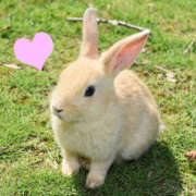 ヒメ日記 2025/05/14 12:01 投稿 かれん アドミsince2002立川デリヘル&Go To FANTASY東京本店