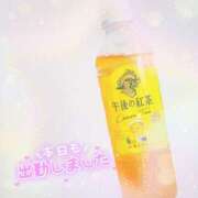 ヒメ日記 2025/05/19 18:33 投稿 かれん アドミsince2002立川デリヘル&Go To FANTASY東京本店