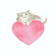 ヒメ日記 2025/05/20 02:15 投稿 かれん アドミsince2002立川デリヘル&Go To FANTASY東京本店