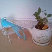 ヒメ日記 2025/05/25 13:03 投稿 かれん アドミsince2002立川デリヘル&Go To FANTASY東京本店