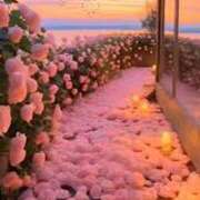 ヒメ日記 2025/05/29 12:03 投稿 かれん アドミsince2002立川デリヘル&Go To FANTASY東京本店