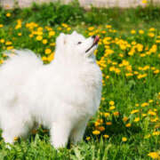 ヒメ日記 2025/06/11 12:05 投稿 かれん アドミsince2002立川デリヘル&Go To FANTASY東京本店