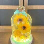 ヒメ日記 2025/07/30 07:31 投稿 かれん アドミsince2002立川デリヘル&Go To FANTASY東京本店