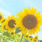 ヒメ日記 2025/08/14 08:11 投稿 かれん アドミsince2002立川デリヘル&Go To FANTASY東京本店