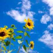 ヒメ日記 2025/08/31 06:35 投稿 かれん アドミsince2002立川デリヘル&Go To FANTASY東京本店