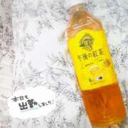 ヒメ日記 2025/09/20 18:30 投稿 かれん アドミsince2002立川デリヘル&Go To FANTASY東京本店