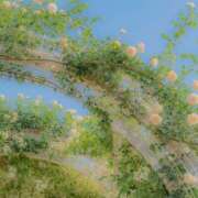 ヒメ日記 2025/09/25 07:01 投稿 かれん アドミsince2002立川デリヘル&Go To FANTASY東京本店