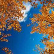 ヒメ日記 2025/10/18 08:15 投稿 かれん アドミsince2002立川デリヘル&Go To FANTASY東京本店