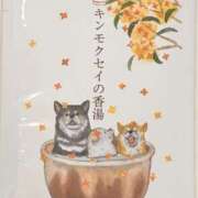 ヒメ日記 2025/11/08 08:01 投稿 かれん アドミsince2002立川デリヘル&Go To FANTASY東京本店