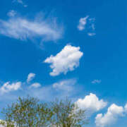 ヒメ日記 2025/11/17 07:11 投稿 かれん アドミsince2002立川デリヘル&Go To FANTASY東京本店