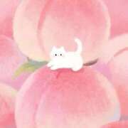 ヒメ日記 2025/11/20 11:15 投稿 かれん アドミsince2002立川デリヘル&Go To FANTASY東京本店