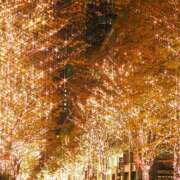 ヒメ日記 2025/11/21 07:32 投稿 かれん アドミsince2002立川デリヘル&Go To FANTASY東京本店