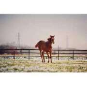 ヒメ日記 2025/11/30 13:17 投稿 かれん アドミsince2002立川デリヘル&Go To FANTASY東京本店