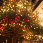 ヒメ日記 2025/12/04 07:15 投稿 かれん アドミsince2002立川デリヘル&Go To FANTASY東京本店