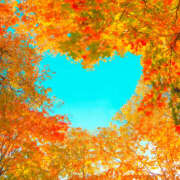 ヒメ日記 2025/12/09 12:03 投稿 かれん アドミsince2002立川デリヘル&Go To FANTASY東京本店