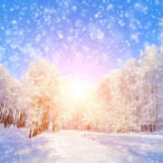 ヒメ日記 2026/01/05 07:17 投稿 かれん アドミsince2002立川デリヘル&Go To FANTASY東京本店