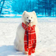 ヒメ日記 2026/02/08 09:01 投稿 かれん アドミsince2002立川デリヘル&Go To FANTASY東京本店